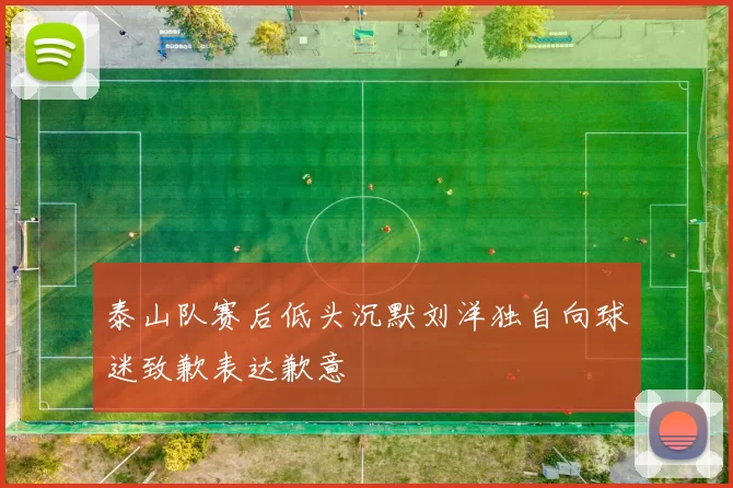 泰山队赛后低头沉默刘洋独自向球迷致歉表达歉意